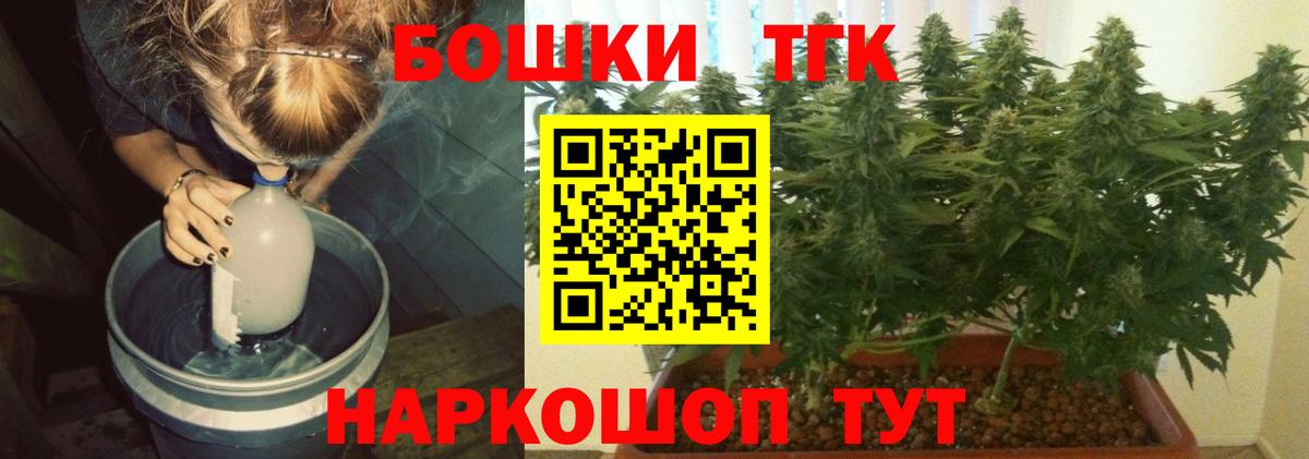Бошки Шишки план Свободный